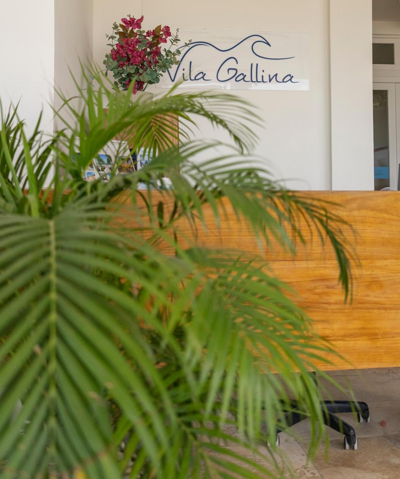 Vila Gallina Pousada Jijoca de Jericoacoara Exteriér fotografie